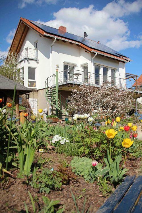 Ferienwohnung Dr. Vera Schmidt 克里沙 外观 照片
